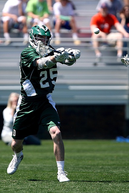 海港队的前 海港队的前